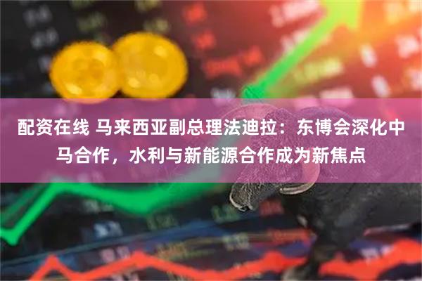 配资在线 马来西亚副总理法迪拉：东博会深化中马合作，水利与新能源合作成为新焦点