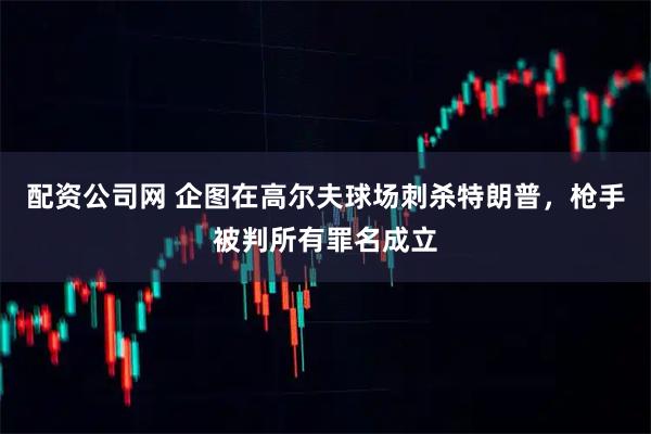 配资公司网 企图在高尔夫球场刺杀特朗普，枪手被判所有罪名成立