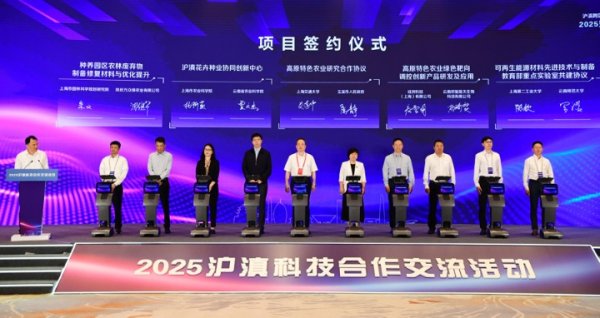 配资专业网上配资炒股 2025沪滇科技合作交流活动举行，推动更多先进适用技术在云南落地